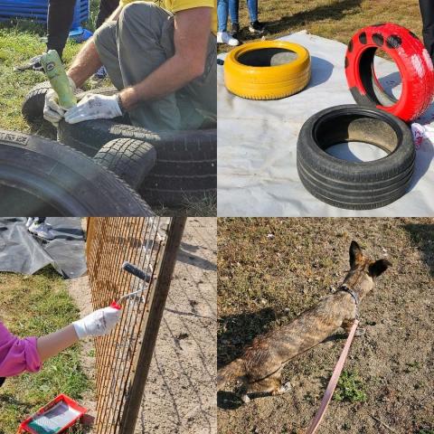 A képen az ürömi állatmenhelyen tett önkéntes tevékenységeink láthatóak. Kutyasétáltatás, kerítés festés, ambrocsból játékok készítése.