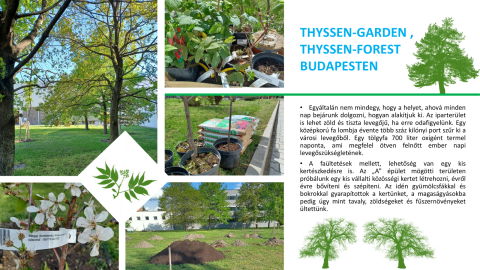thyssen garden