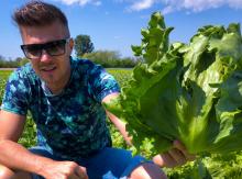 Egészséges étkeztetés - Hogyan vált a saláta a magyar családok étkezésének részévé?